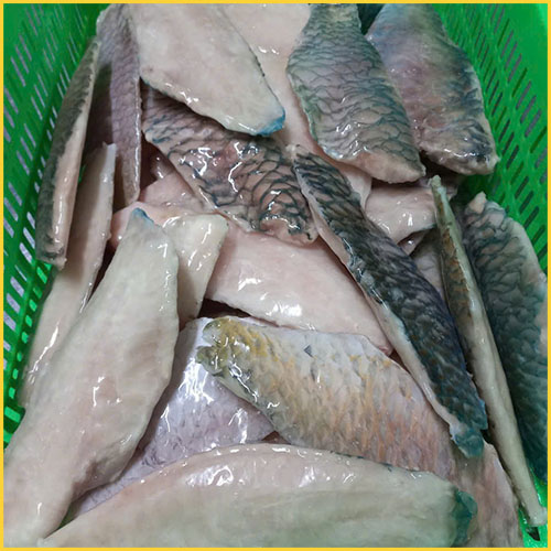 blue parrotfish fillet exporter in Nha Trang, Khanh Hoa, Việt Nam