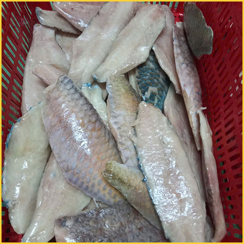 blue parrotfish fillet exporter in Nha Trang, Khanh Hoa, Việt Nam