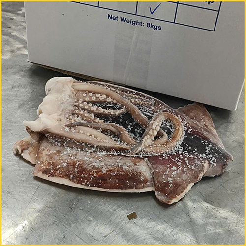 Frozen Whole Cleaned Black Squid